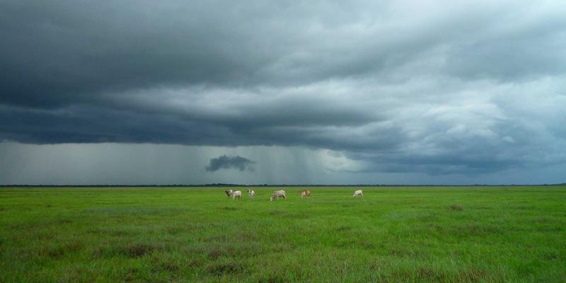 宁波鼎三：揭秘大型工业装备模块化设计与快速装配技术的核心优势