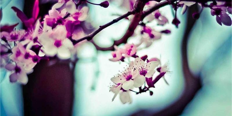 定制化非标机械设计：宁波鼎三如何精准满足客户的独特需求？